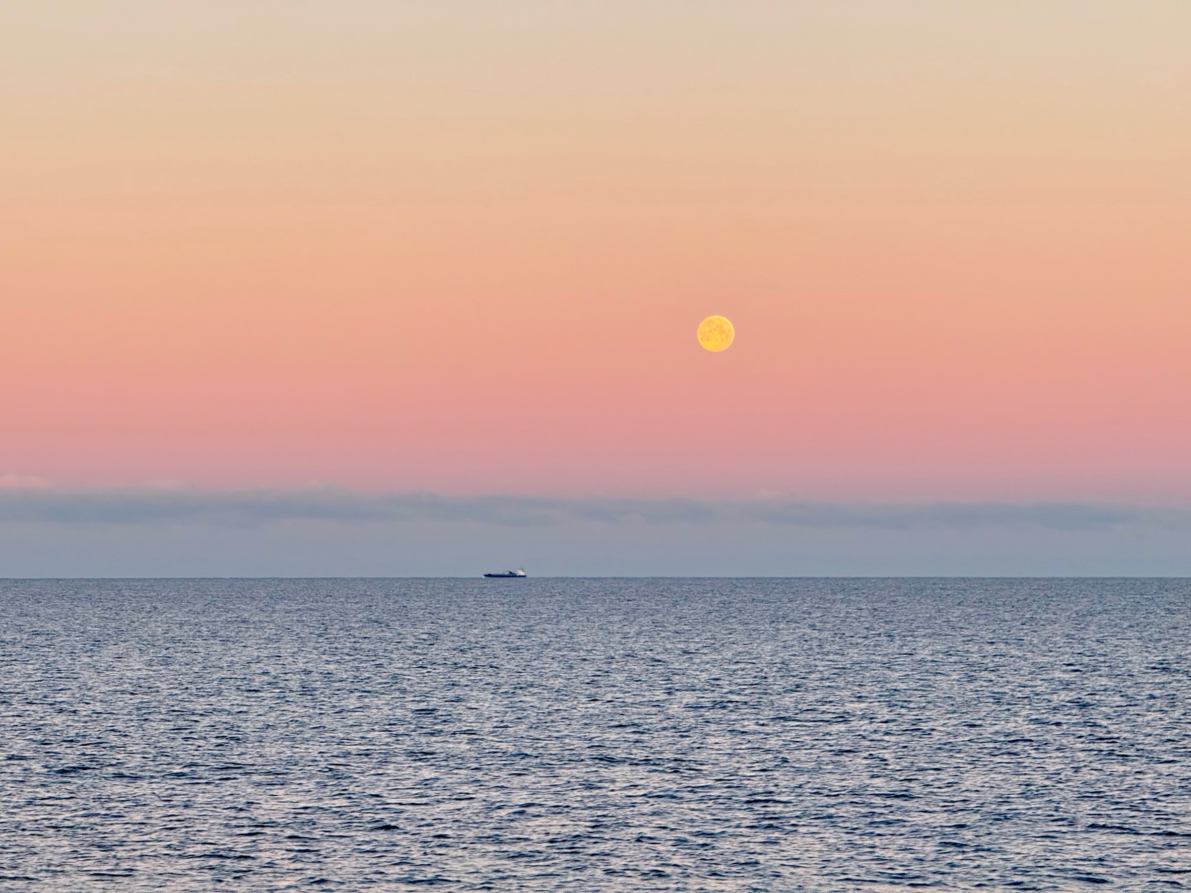 Måne over havet i rosa morgenlys, med et skip i horisonten.